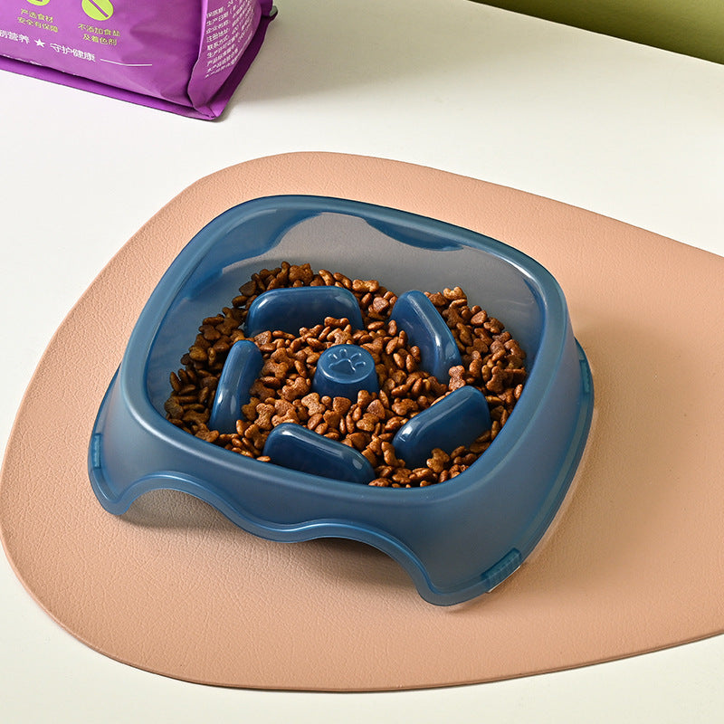 Why Your Pet Needs the Slow Feeding Anti Choke Pet Bowl
